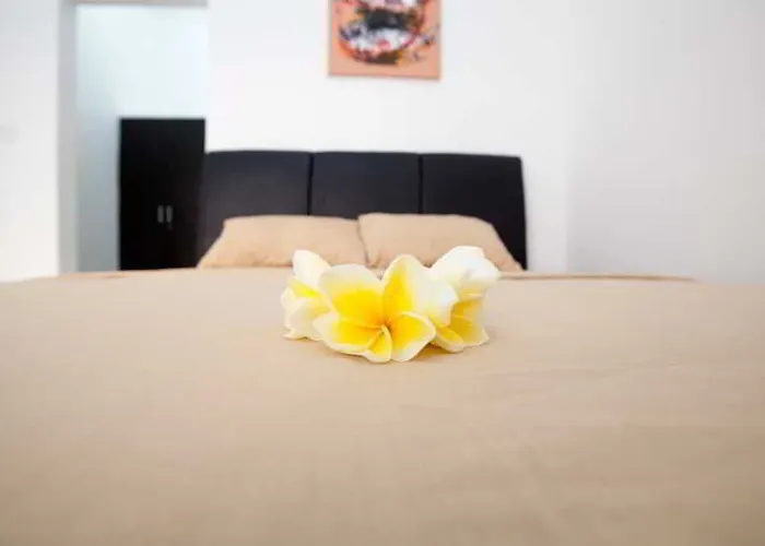 Guest house Point 2*